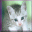 ic2.gif
