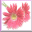 ic3.gif